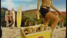 Lipton Ice Tea Limon