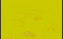 Lipton Ice Tea Mango