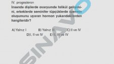 SINAVO - Biyoloji / Denetleme ve Düzenleme (Sinir sistemi - Duyu organları - Hormonal düzenleme)