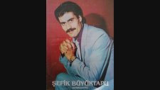 Şefik Büyüktapu - Muş Ovası