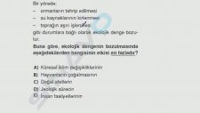 SINAVO - Coğrafya - Ekosistem ve Madde Döngüsü
