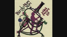 Birdy Nam Nam - Goin' In (Skrillex