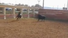 Boğa Ve At Dövüşü arena'da (erdem gülkanat)