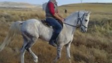 İrfan Gürdal- Sura Beygir (Gagauz Türkçesi)
