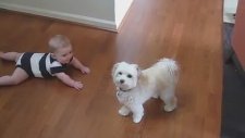 Köpeğin Dansına Gülen Sevimli Bebek