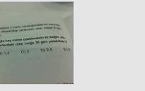 Matematikten Sorum Var Otlayan İnek Sorusu
