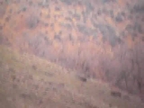 Off Road Serisi 5
