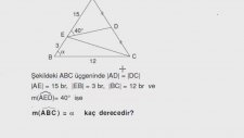 SINAVO - Geometri - Benzerlik - Orantılı Doğru Parçaları