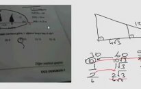 Matematikten Sorum Var Ağaç Sorusu