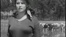 Acı Pirinç Film Sahnesi