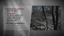 AKUT Var Hayat Var - Orman Yangınlarını Önlemek İçin Dikkat Edilmesi Gerekenler Nelerdir?