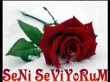 Seni Seviyorum