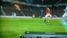 Pes