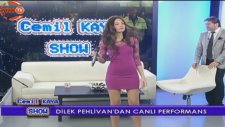 Dilek Pehlivan - Kim Arar