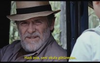 Sinema: Şeker Portakalı