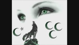 Namık Can - Bir Ülkücü Kız Sevdim Namık Can - Bir Ülkücü Kız Sevdim