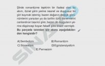SINAVO - Türkçe - Parnasizm
