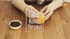 Güve Kovan Portakal
