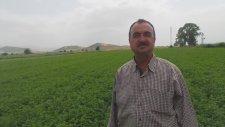 Yonca - Torbalı Arslanlar Köyü - Sabri Sunar
