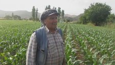 Slajlık Mısır Darı Tire Karateke Rekor Gelişim Kullanıldı - Elver Onur