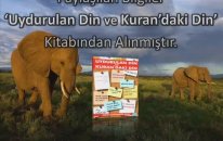 Oruç Hakkında Bilmemiz Gerekenler Nelerdir?