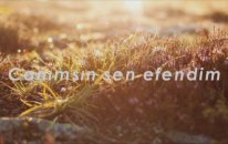 Tuncer Yolal - Sevdim Seni Gönülden