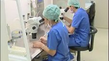 Tüp Bebek nedir ? Tüp bebek nasıl Yapılır - Doç. Dr. Selman Laçin