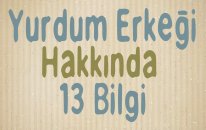 Yurdum Erkeği Hakkında 13 Bilgi