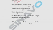 SINAVO - Türkçe - Fiil