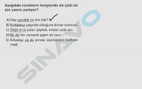 SINAVO - Türkçe - Sayıların Yazımı