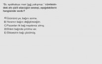 SINAVO - Türkçe - Sözcükte Anlam İlişkileri
