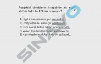SINAVO - Türkçe - Sözcükte Kök