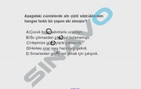 SINAVO - Türkçe - Sözcükte Yapı