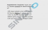 SINAVO - TÜRKÇE - Ünlü Uyumları