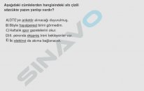 SINAVO - Türkçe - Yabancı Sözcüklerin Yazımı