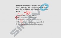 SINAVO - Türkçe - Zamir
