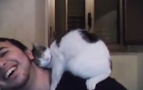 Galiba Bu Kedi Çocuğa Aşık Oldu