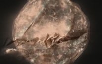 Parov Stelar - The Sun (Feat. Graham Candy) Official Video Clip