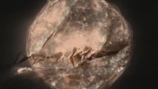 Parov Stelar - The Sun (Feat. Graham Candy) Official Video Clip