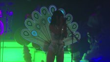 Katy Perry - Peacock ( Live On Letterman)