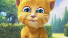 Talking Ginger