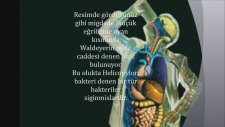 Ayakta Su İçmenin Zararları
