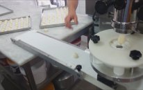 Tmak Dolgulu Kurabiye Makinası - Damla Sakız Dolgulu Kurabıye