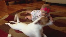 Bebeğe Emeklemeyi Öğreten Köpek