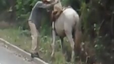 Sarhoş Adamın Ata Binme Çabası