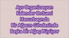 Ays Organizasyon Kalender Orduevi Havuzbaşı Düğünleri