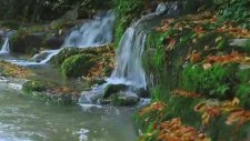 Haber53 Rize'de Sevdaluk İşte Böyle Yapılır