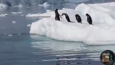 Komik Penguenler