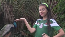 Give Me Five - Cover - La La La