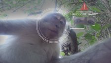 Gopro: Monkey Stole My Gopro